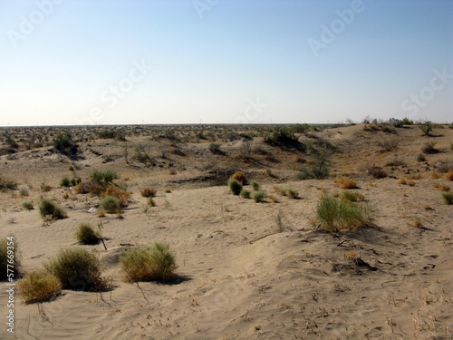 Karakum Desert
