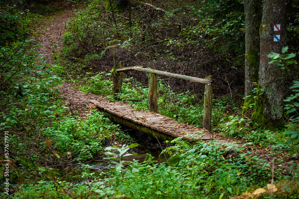 Old Wooden Bridge and Path in the Forest. Lithuania Old Wooden Bridge and Path in the Forest. Lithuania
