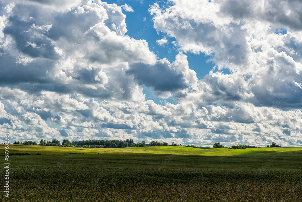 Obraz premium Landscape with Wheat Field and Cloudy Blue Sky in Background. Sunlight and Wide Shadows Area.