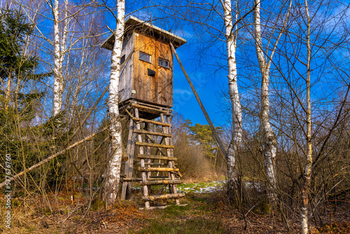 Jägerstand im Birkenwald am Morgen