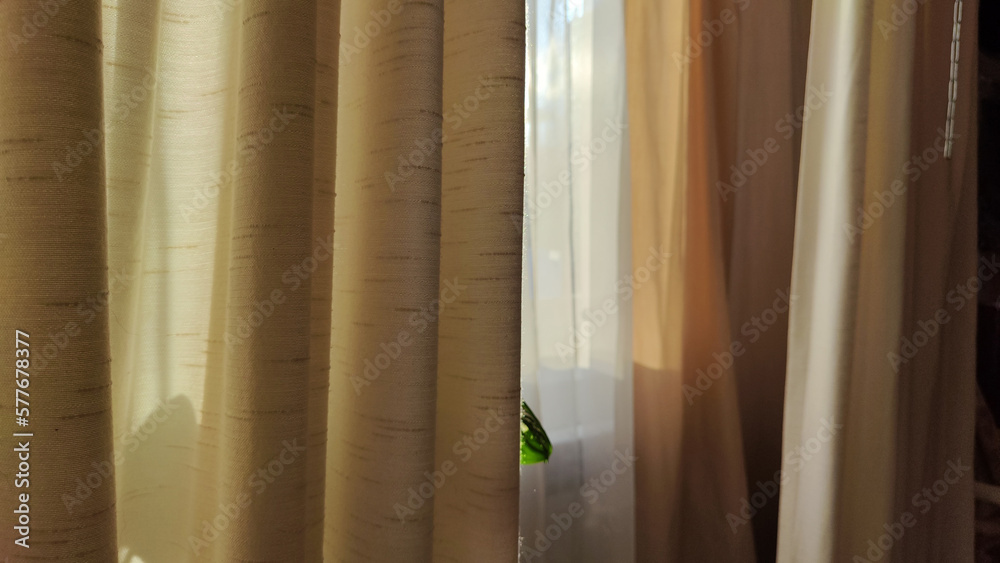 Curtain with tulle on the window. The interior of the room with draped curtains Curtain with tulle on the window. The interior of the room with draped curtains