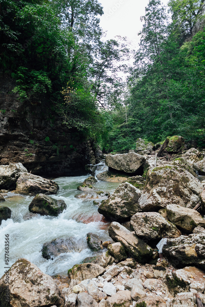 the river flows into the rocks in the forest among the trees hiking journey tourism the river flows into the rocks in the forest among the trees hiking journey tourism