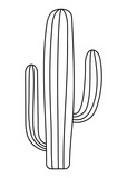 hand drawn saguaro cactus isolated on the white background

