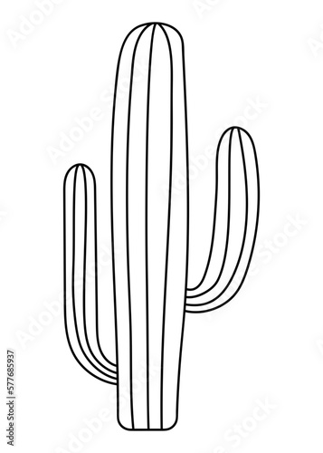 hand drawn saguaro cactus isolated on the white background
