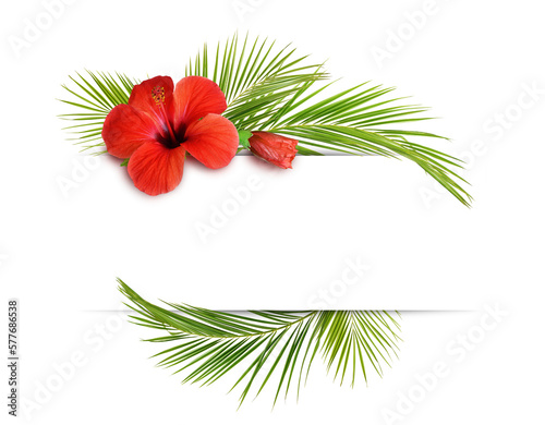 Decorative tropical green leaves of palm and hibiscus flowers with copy space isolated on white or transparent background.