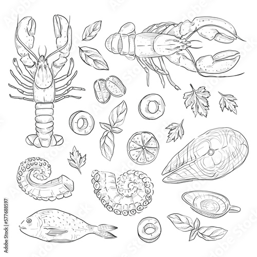 Sea food collection, Hand drawn elements collection