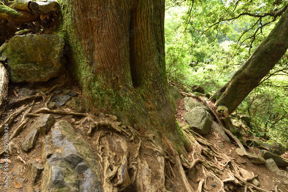 Climbing Mt. Tsukuba, Ibaraki, Japan