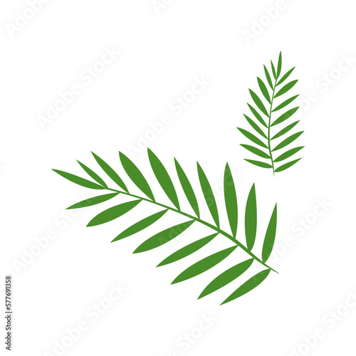 Christian greeting card or banner of the Holy Week before Easter. Palm branches on white background. Vector illustration