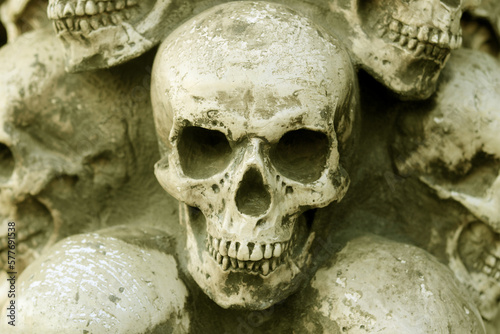 Photo of skulls against background of other skulls