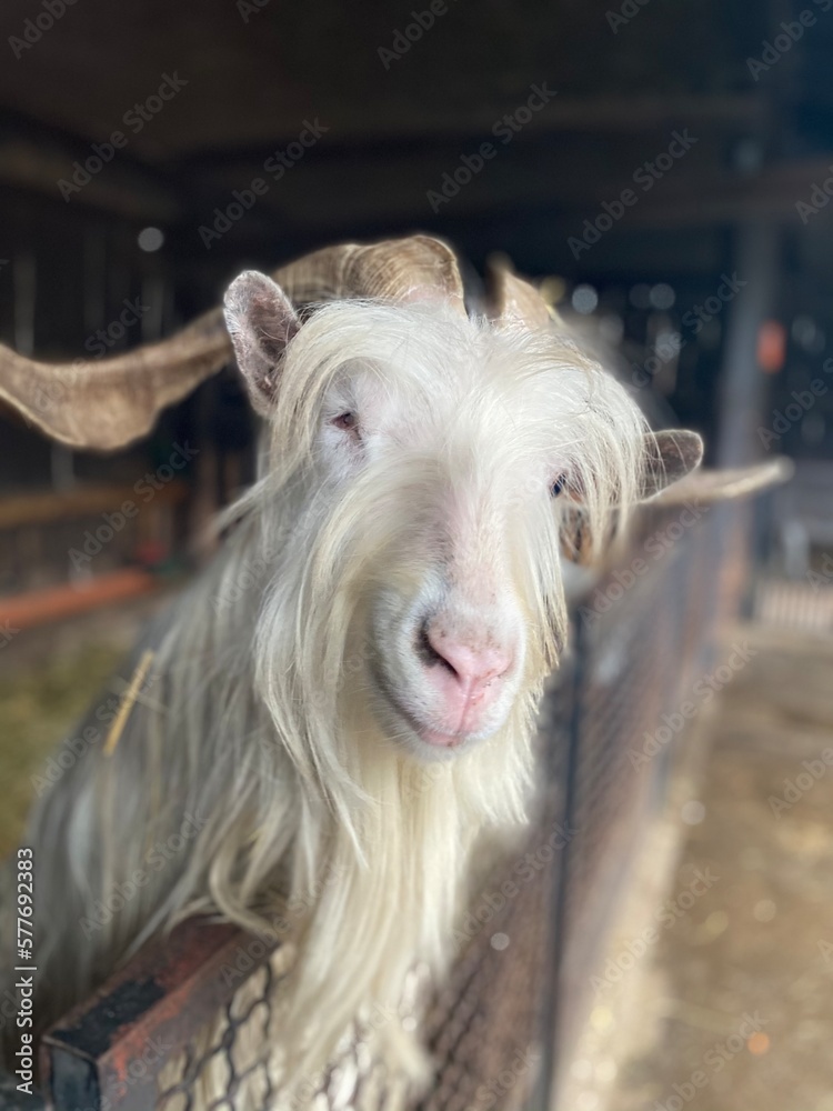 Zdjęcie z Wrocławskiego ZOO Zdjęcie z Wrocławskiego ZOO