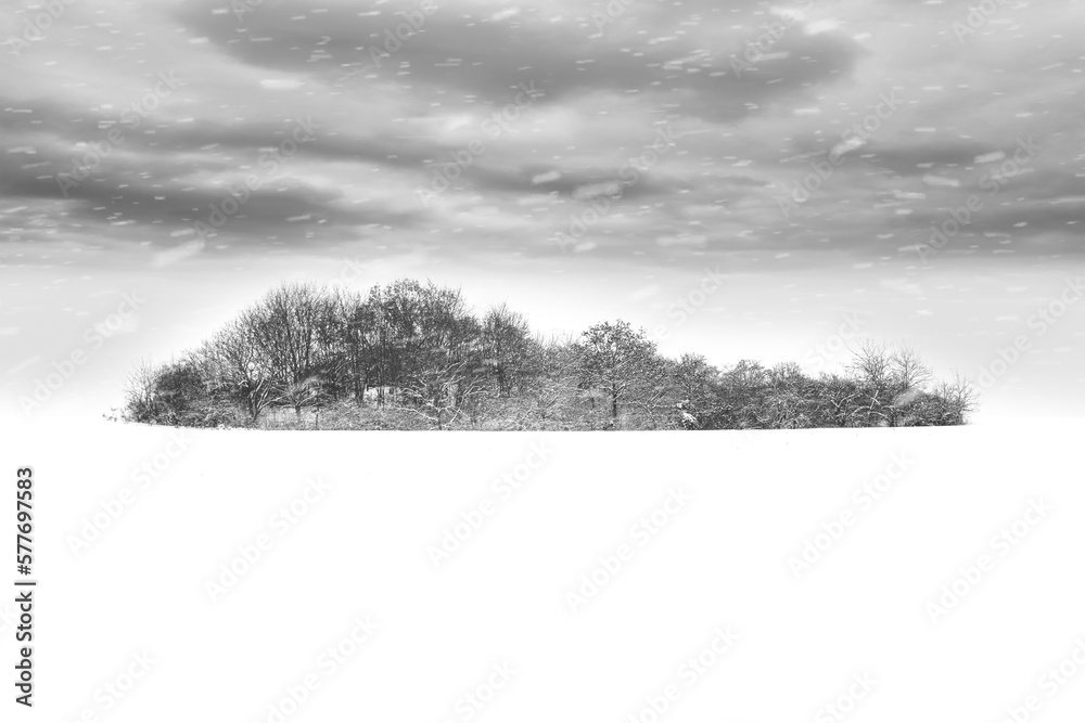 Obraz premium landscape with snow