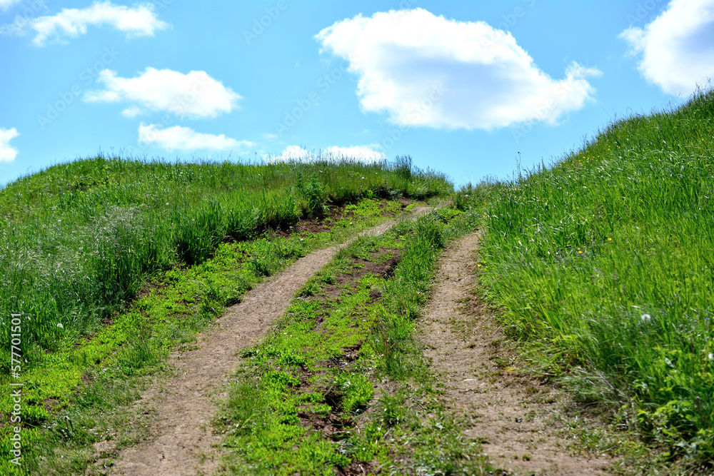 A dirt country road leads to a grassy field with blue sky and white clouds on background 