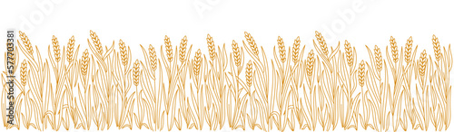 Wheat field. Ears of wheat rye or barley. Vector line. Editable outline stroke. Design wrapper of bakery.