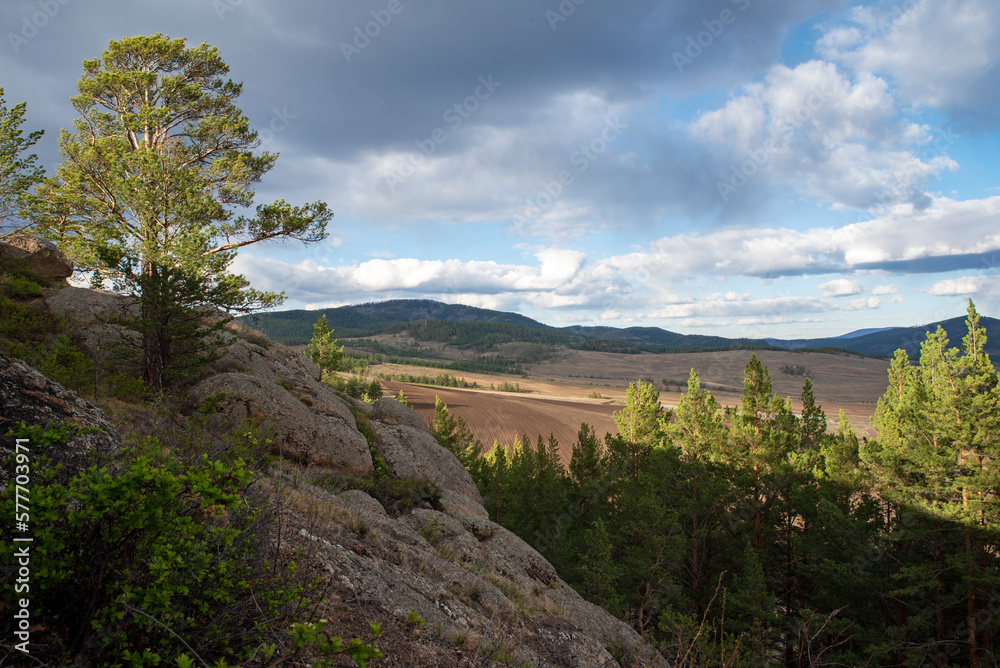 Rocks with pine trees against the sky, spring