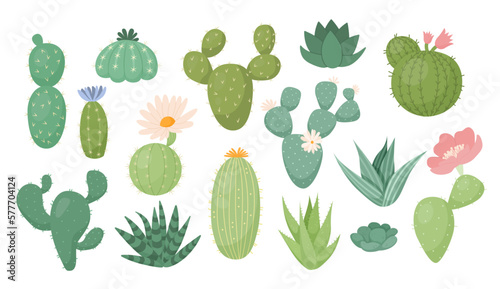 Mexico cactus plants, wild cacti collection. Bright nature decorative flowers and succulents, cute desert drawing elements, summer hand drawn houseplants. Vector cartoon flat illustration