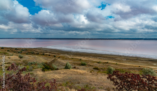 Fototapeta Naklejka Na Ścianę i Meble -  Natural landscape of the south of Ukraine, View of the drying Kuyalnitsky estuary with rose water, in which Artemia salina and Dunaliella algae live
