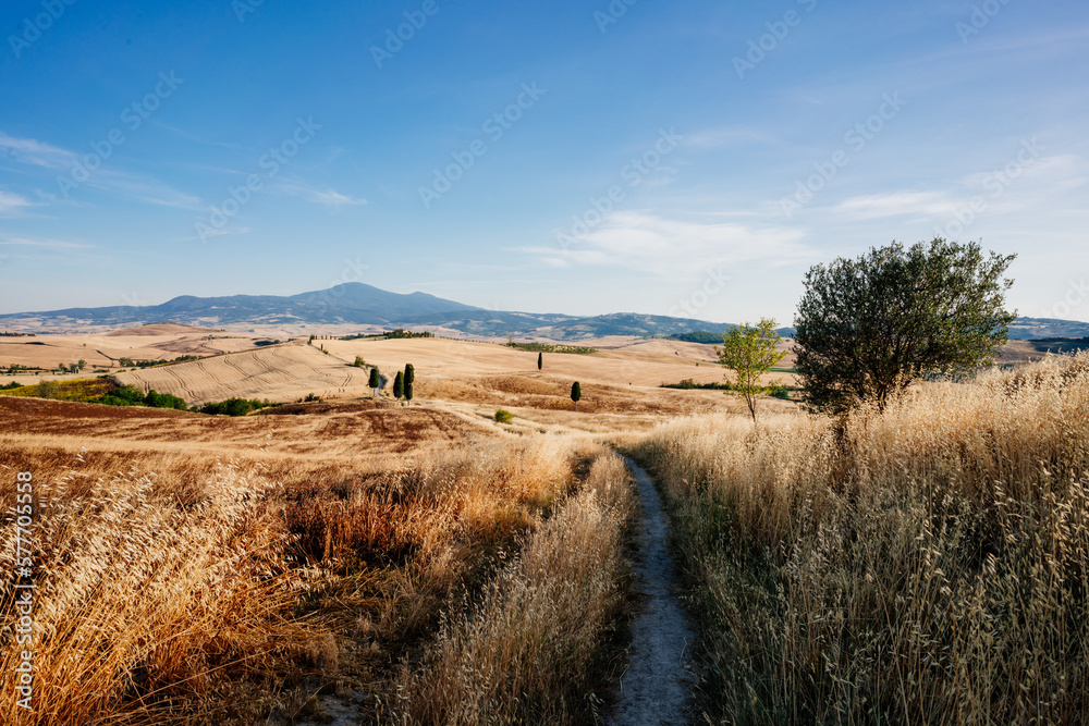 Fototapeta premium beautiful summer day on meadows in Tuscany