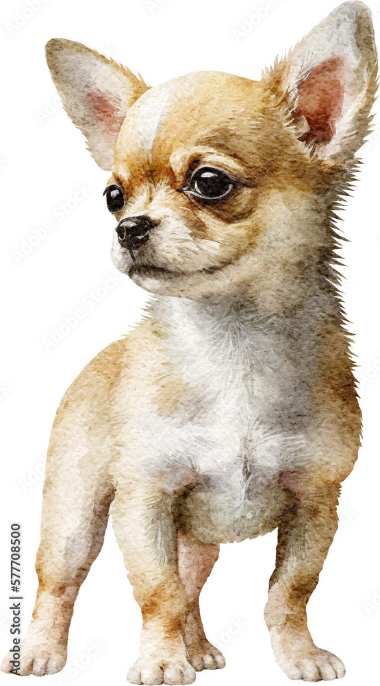 Chihuahua dog illustration created with Generative AI technology