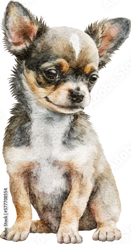 Chihuahua dog illustration created with Generative AI technology © Anastasiya