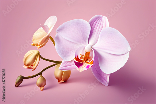 Beautiful pink orchid on a pink background. Generative AI