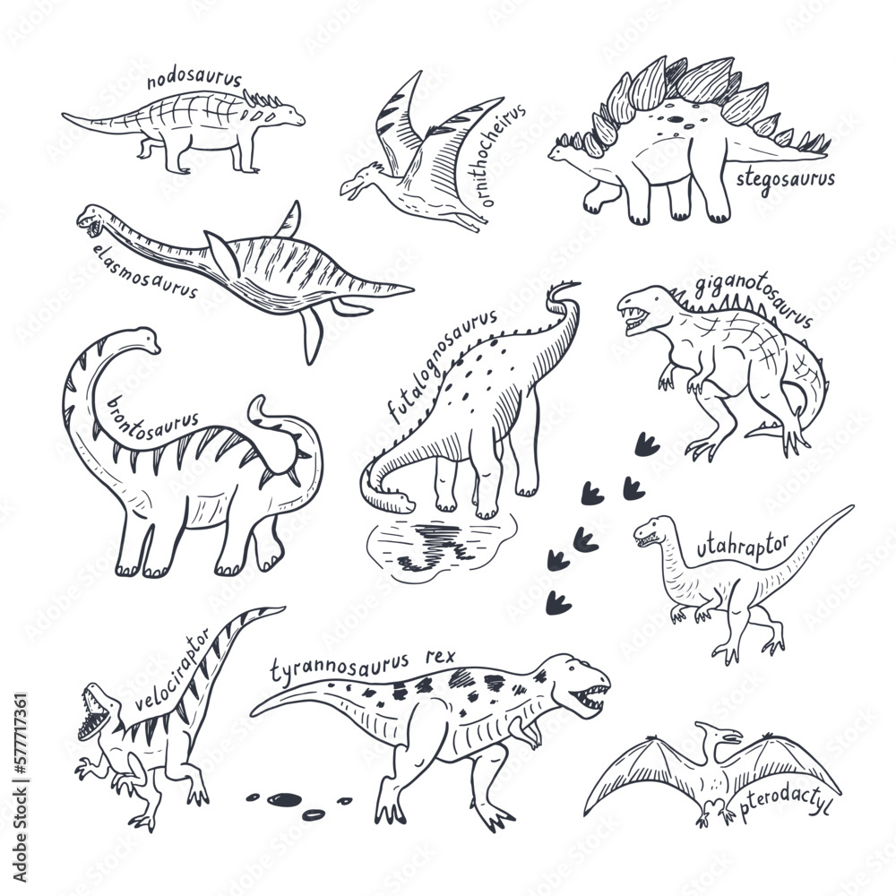Dinosaur doodle line vector illustrations set. Dinosaur doodle line vector illustrations set.