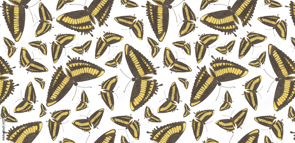 Digital Paper with Hand Drawn Colorful Butterflies on White Background. Digital Paper with Butterfly.