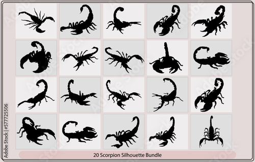 Scorpion illustration,Large Scorpion Silhouette,Scorpion Logo Vector, vector image for the tattoo, © unique_design_team