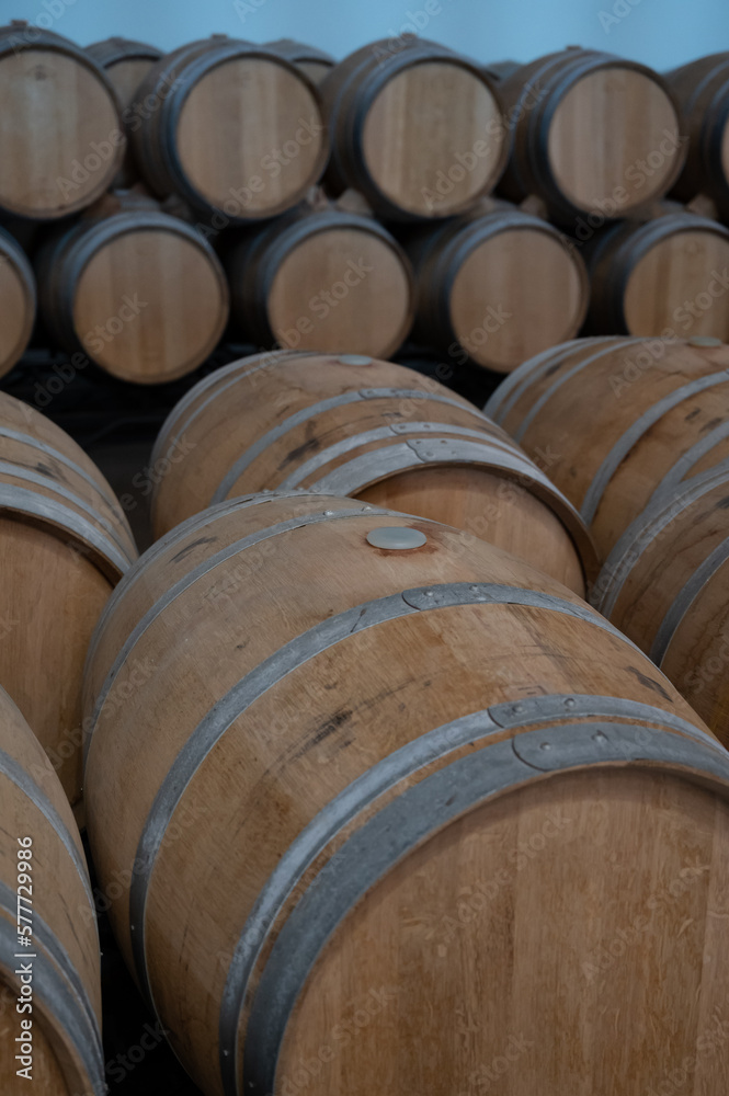 Rows of french and american oak barrels in cellars of winery in Rioja wine making region, Spain