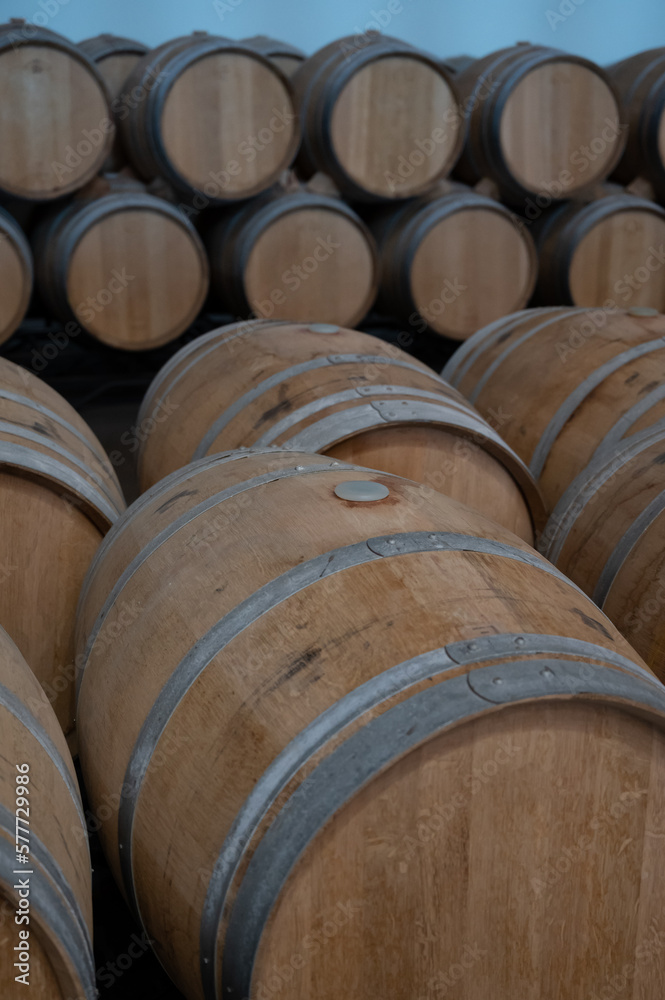 Rows of french and american oak barrels in cellars of winery in Rioja wine making region, Spain Rows of french and american oak barrels in cellars of winery in Rioja wine making region, Spain