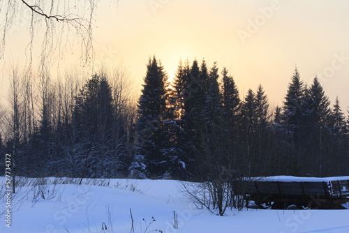 Winter landscape of coniferous forests of northeastern Europe © алексей семиколенных
