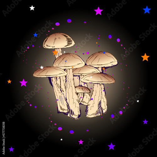 Magic Mushrooms colorful Stars Pattern