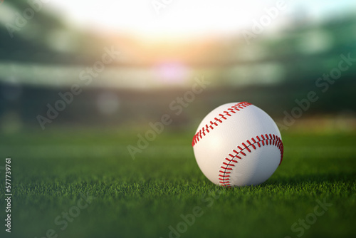 Baseball ball in a grass of baseball arena stadium.