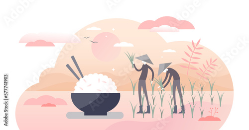 Rice agriculture harvest and healthy meal with food bowl flat tiny persons concept, transparent background.Raw traditional plants cultivation as work occupation scene illustration.