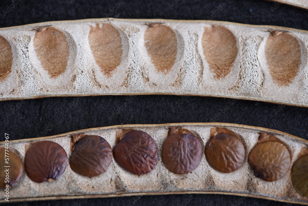 Seeds of Inga edulis, Fabaceae family, known as icecream bean, ice