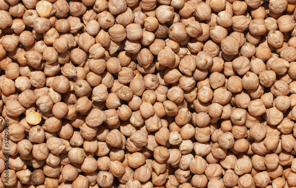 Raw chickpea beans. Top view on chickpea seeds. Food background from a texture of raw chickpeas close-up, top view. Uncooked chickpea. Raw chickpea beans. Top view on chickpea seeds. Food background from a texture of raw chickpeas close-up, top view. Uncooked chickpea.