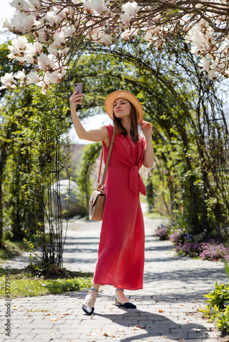 A young beautiful girl in an elegant red dress and straw hat takes a selfie on a smartphone against the background of an arch of roses and a blooming white magnolia