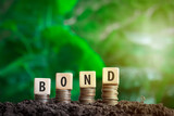 bond on a wooden block placed on a coin with green bokeh nature background in investment bond concept Raising Funds to Fund the Green Bond Program