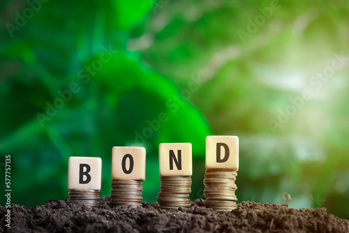 bond on a wooden block placed on a coin  with green bokeh nature background in investment bond concept  Raising Funds to Fund the Green Bond Program photo