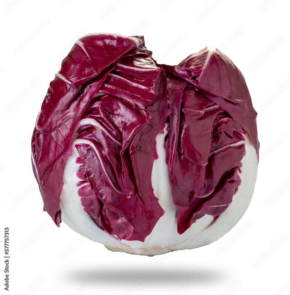 Fototapeta premium Radicchio di Verona typical red leaf radish chicory