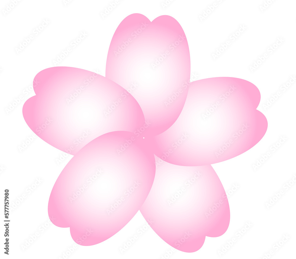 sakura pink gradient cute minimal decoration for spring and japanese kawaii cherry blossom