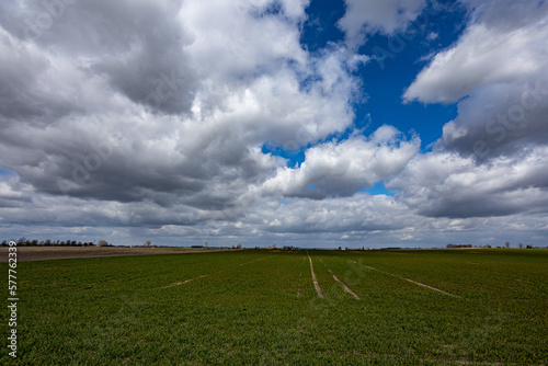 Fototapeta Naklejka Na Ścianę i Meble -  niebo,chmury,piękny krajobraz z chmurami
sky,clouds,beautiful landscape with clouds