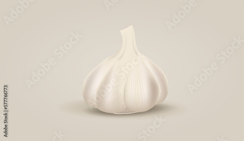 Vector Realistic Garlic. Ingredient illustration. 