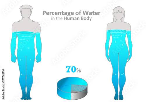 Human proportion water. H2o ratio in male and female body. Adult women, men, filled percentage 70 % water. Pie chart. Gray blue boy, girl figures. White background. Healthy illustration vector