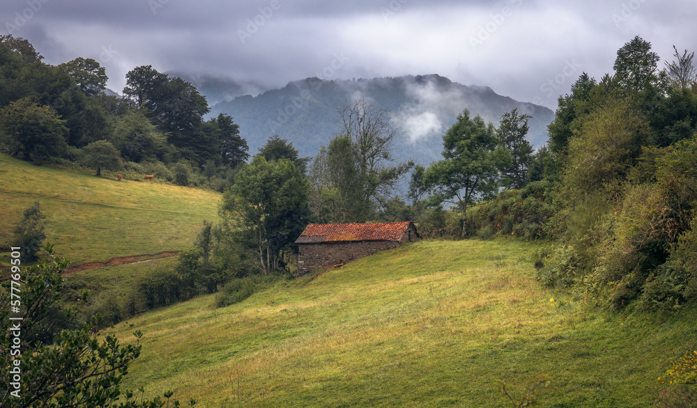 The Majestic Splendor of Asturias Countryside