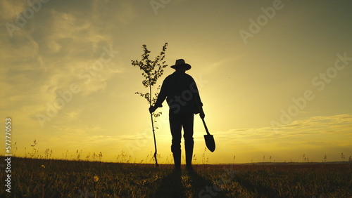 farmer goes plant tree sunset. gardener planting seedlings in the ground. Agriculture. farming concept. eco.farmer farmland. a man with a shovel plants fresh tree sprouts in a park field at sunset