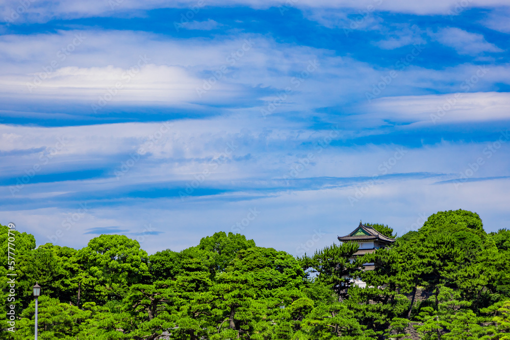 春の皇居東御苑・江戸城跡の大手門付近にある新緑の木々と三重櫓の富士見櫓（東京都千代田区）