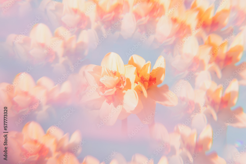 Flowers on a holographic background. The koleidoscope effect. Soft focus.