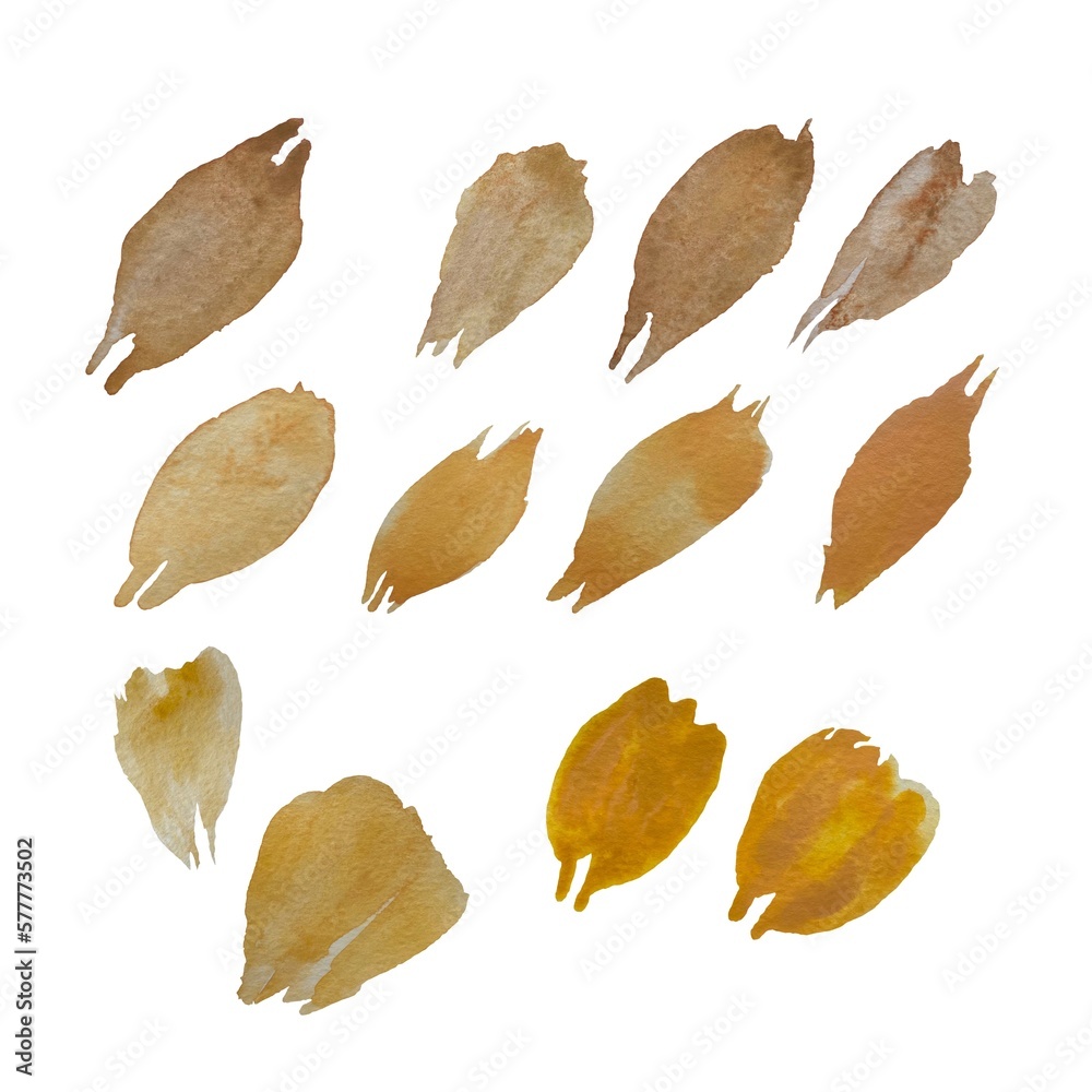 Petal brown yellow pink flower set watercolor