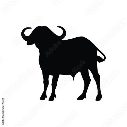 silhouette of a buffalo