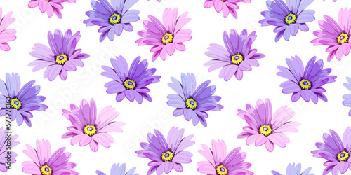 Cosmos flower vector seamless pattern © Olha